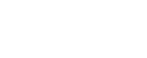 Verzogen - Hundetraining