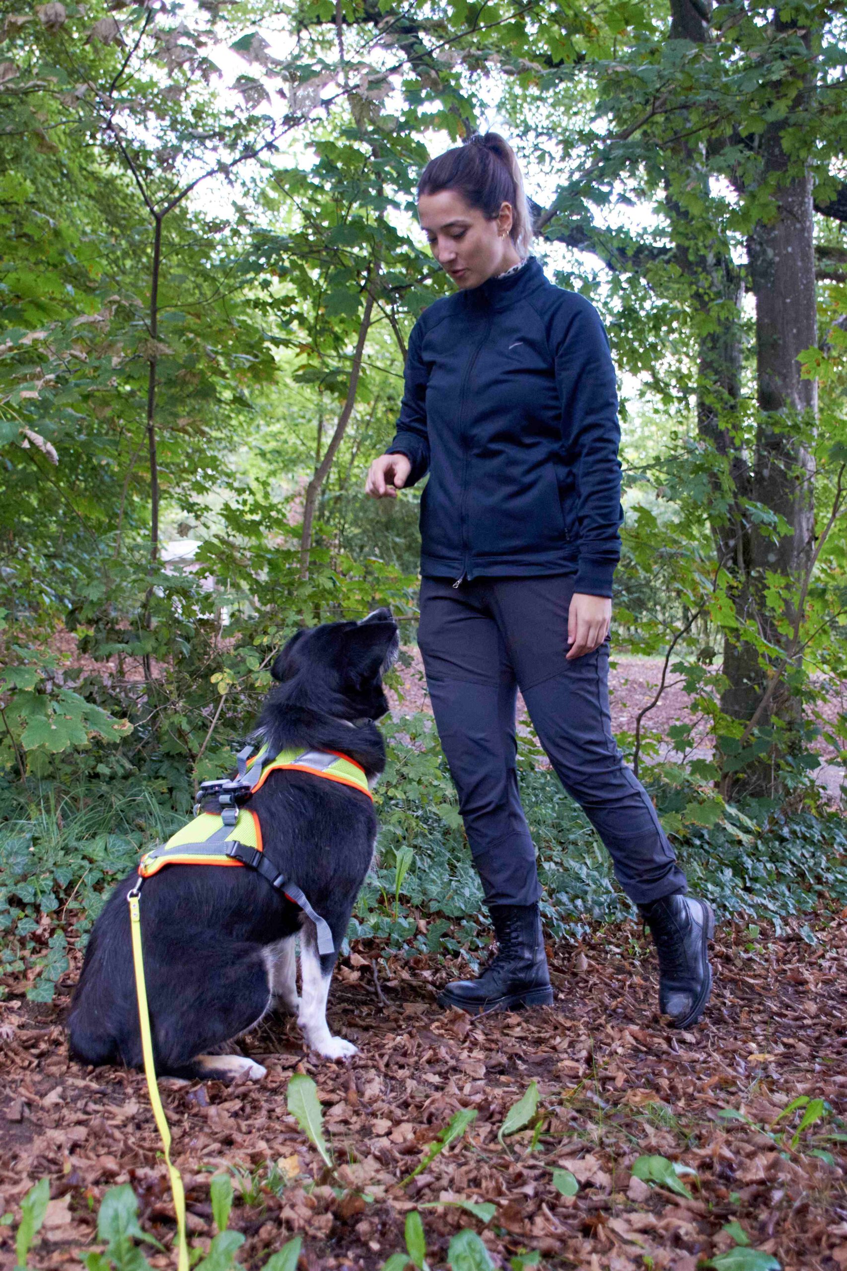 Tiziana Hundetrainerin beim Training